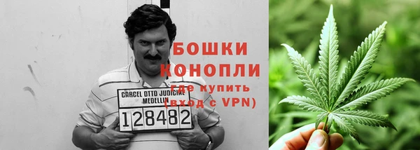 гидра Абаза