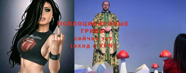 гидра Абаза