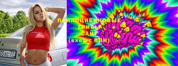 гидра Абаза