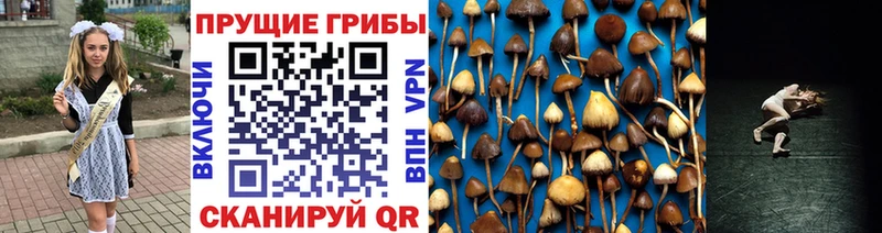 Псилоцибиновые грибы мицелий  Туринск 